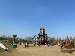 -上海长兴岛郊野公园