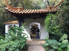 -广州兰圃