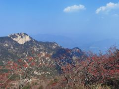 -泰山风景名胜区