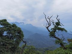 -青城山