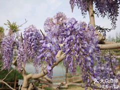 -燕郊植物园
