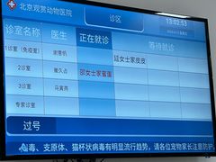 -北京观赏动物医院·24小时大型综合·猫专科·异宠专科