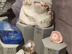 -正佳自然科学博物馆