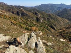 -灵山