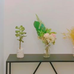 -F.N冻龄皮肤管理中心