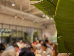 大堂-INSA Korean Bistro饮鲨韩食酒馆