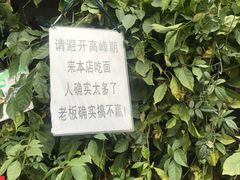 -左撇子私房面