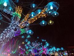 -淄博花灯齐彩城