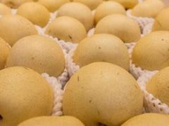 千脆蜜梨-四季自然(建业大厦A座店)