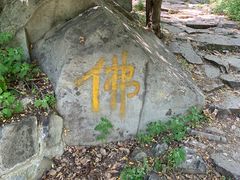 -阳台山自然风景区