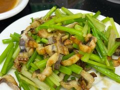 -阿军排档·烧烤