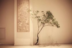 -柏姿舞蹈工作室