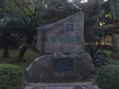 -汉拿树木园