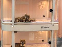 -翊宠yipet猫狗购宠庄园犬舍•猫舍