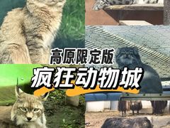 -青藏高原野生动物园