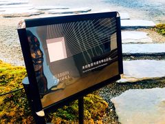 大堂-Seesaw Coffee(朝阳大悦城店)