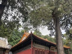 -潭柘寺景区
