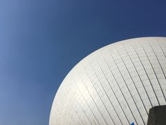 -野狸岛