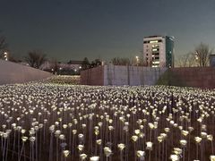 -东大门市场