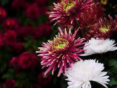 -共青国家森林公园-售票处