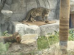 -青藏高原野生动物园