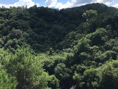 -广州白江湖森林公园