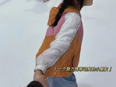 -世界之窗阿尔卑斯冰雪世界
