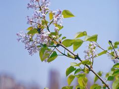 -白塘生态植物园