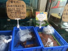 -蚝专家(北滘店)
