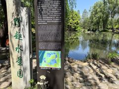 -洛阳市隋唐城遗址植物园