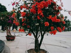 -文华公园(禅城区)