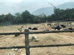 -西安秦岭野生动物园