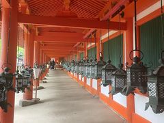 -奈良公园