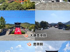 -大唐贡茶院