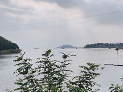 -上海市保健医疗中心