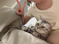 -小伙伴宠物医院•急重症转诊中心·老年专科·犬猫全科(北大街总院)
