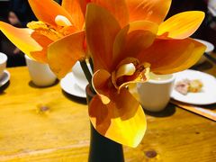 -木王宴语·野生鲜菌火锅(玉河店)
