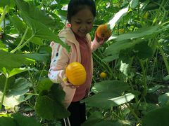 -万源龙顺度假庄园生态观光园