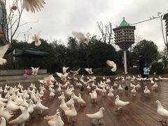 -南昌之星摩天轮