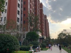 -颛桥紫薇花园
