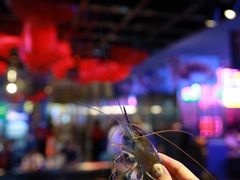 -钳真多钓虾馆·小龙虾海鲜烧烤(九六广场店)