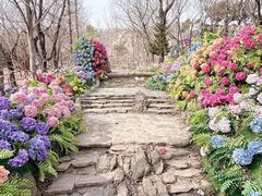 -沂蒙云瀑洞天景区