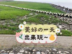 -南汇嘴观海公园