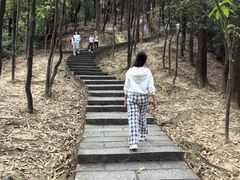 -火炉山森林公园