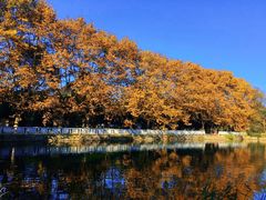 -贵阳市花溪国家城市湿地公园
