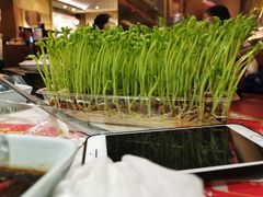 -捞神煲汤火锅(湖滨商业街店)