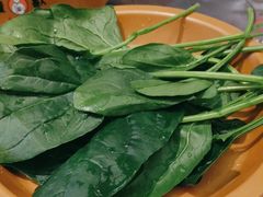 -龍歌自助小火锅(市南金茂湾店)