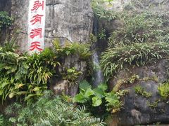 -深圳仙湖植物园-停车场