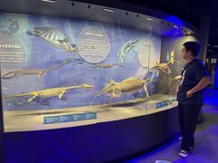 -国家自然博物馆