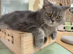 -猫和宫(六道口店)